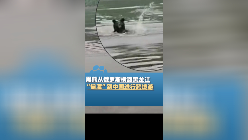 俄外长：特朗普懂普京的立场,2003六叔公一肖一码,展开解析落实_豪华版V15.44